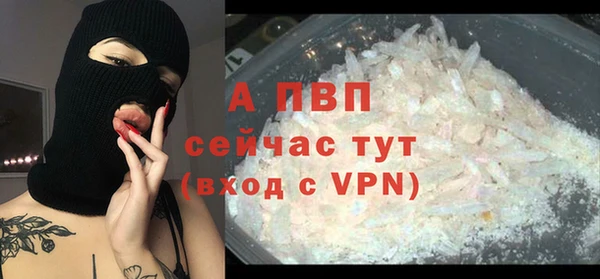 ешки Пересвет