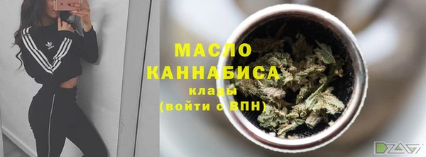 гидра Володарск