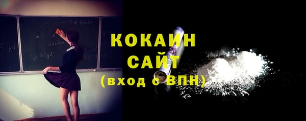 шишки Бородино