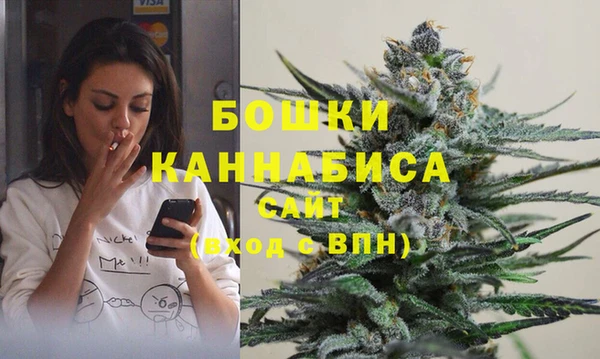 мдпв Волосово