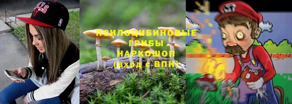 шишки Бородино