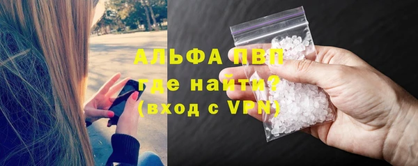 гидра Володарск