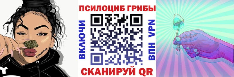 blacksprut как зайти  Зарайск  Галлюциногенные грибы Psilocybine cubensis 
