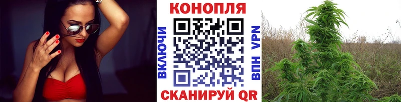 МАРИХУАНА конопля Зарайск